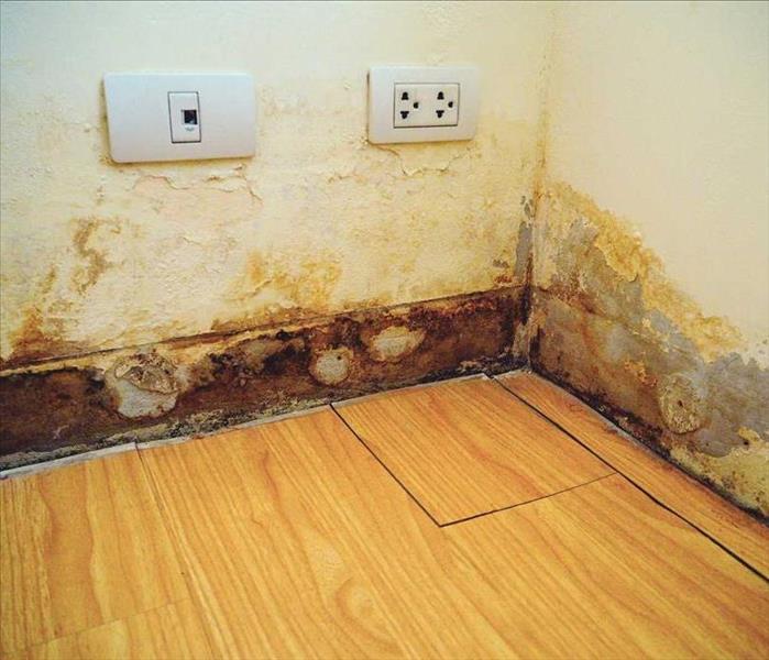 Water Damage in Home